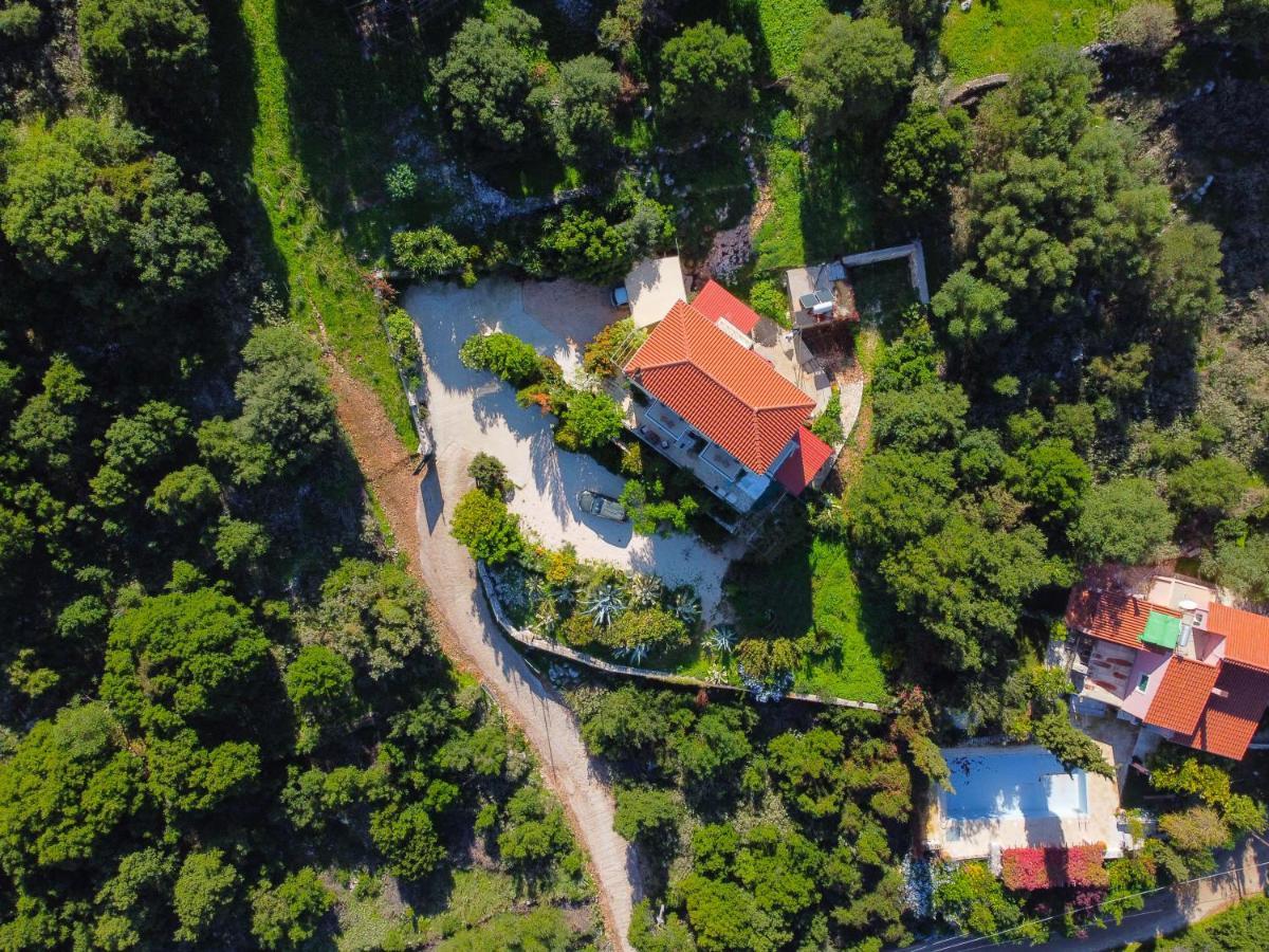 Villa Hara أيّا إفيميا المظهر الخارجي الصورة